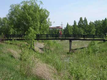 Мост через болото