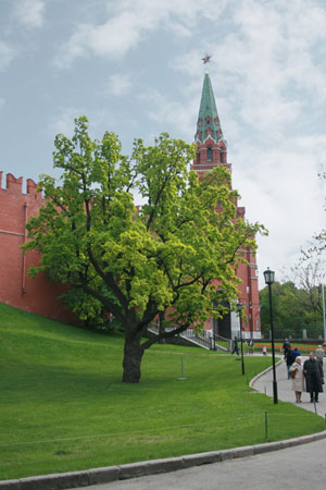 Башня Кремля